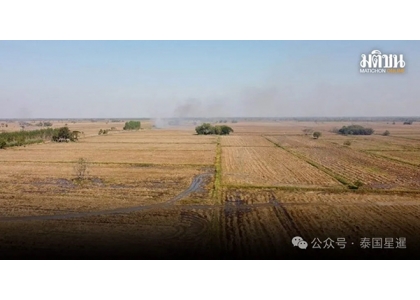 2025–01-06 泰国成功研发微生物技术 无需焚烧即可分解稻草残茬